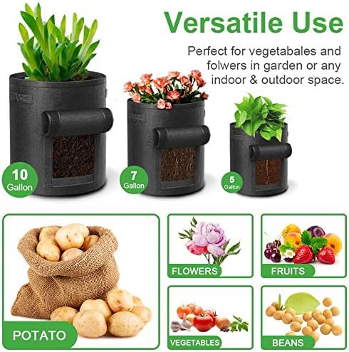 LITLANDSTAR Potato Growing Bag, 5-Pack 5 Gallonen Vegetable Growing Plant Bags mit Sichtfenster und