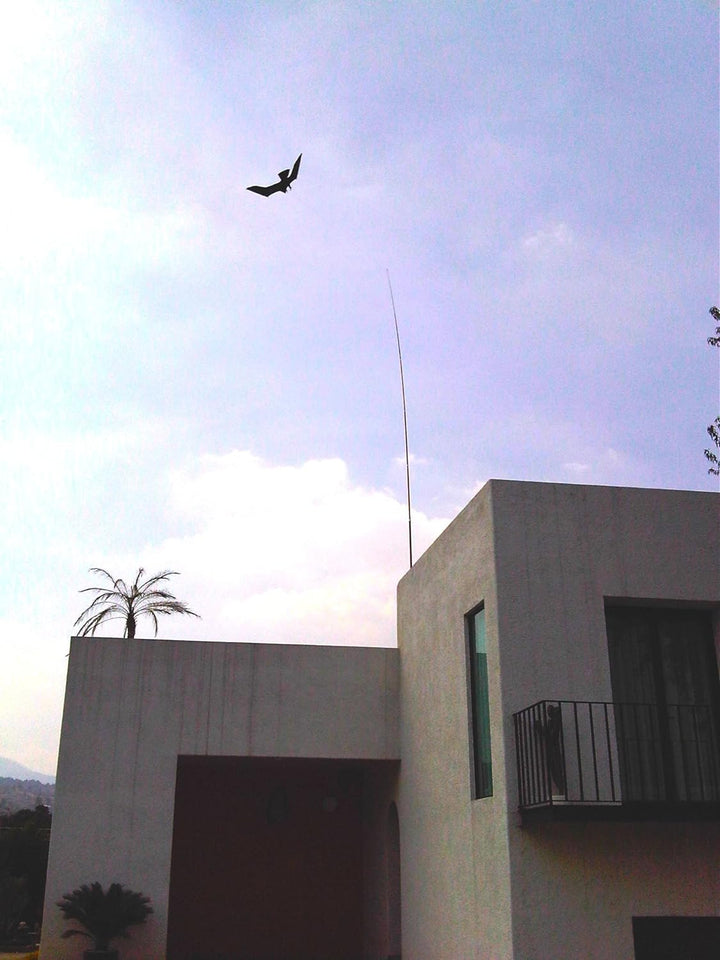 Vogelscheuche PROFESSIONELLE QUALITÄT 9METER