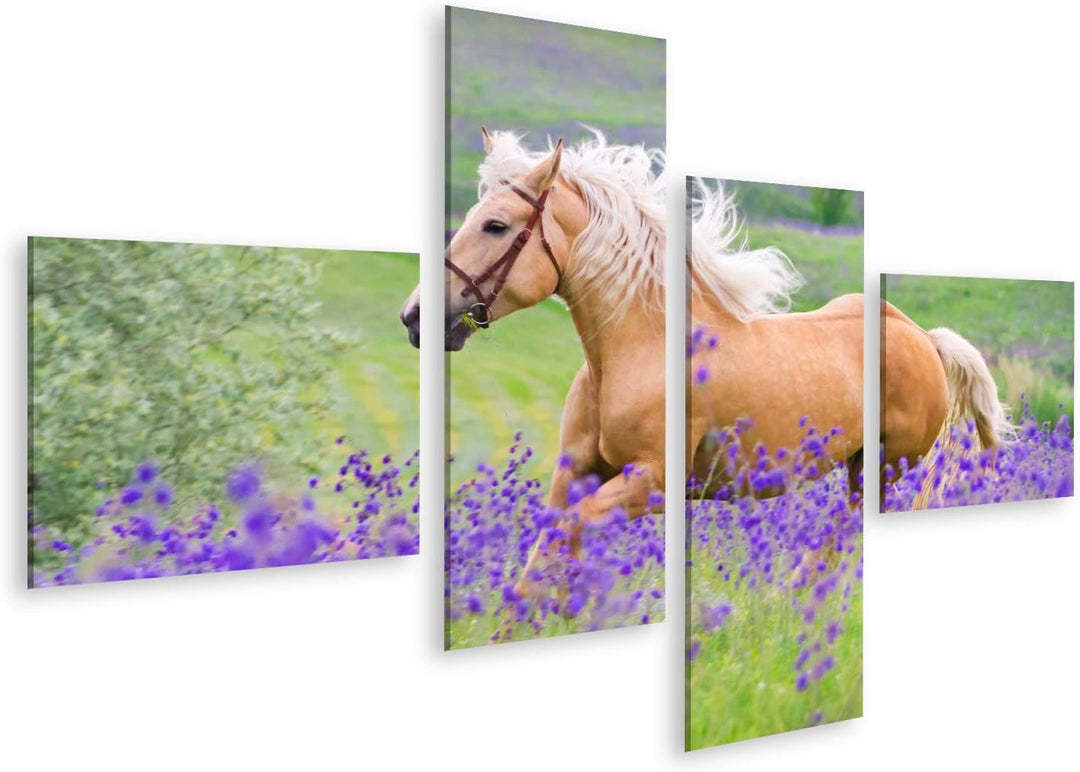 islandburner Bild auf Leinwand Palomino Pferd Kinderzimmer Hobby Reiten Bilder Wandbilder Poster Lei