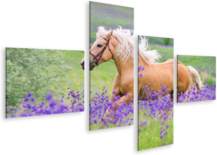 islandburner Bild auf Leinwand Palomino Pferd Kinderzimmer Hobby Reiten Bilder Wandbilder Poster Lei