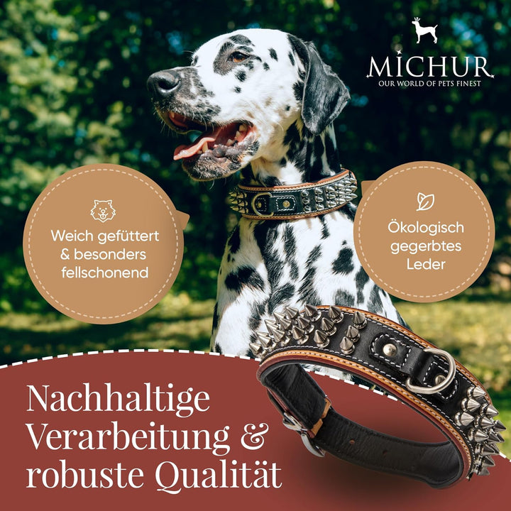 MICHUR Strike NO. 1 Hundehalsband Leder, Halsband, Lederhalsband Hund, Nieten, Halsband Leder MIT Ni