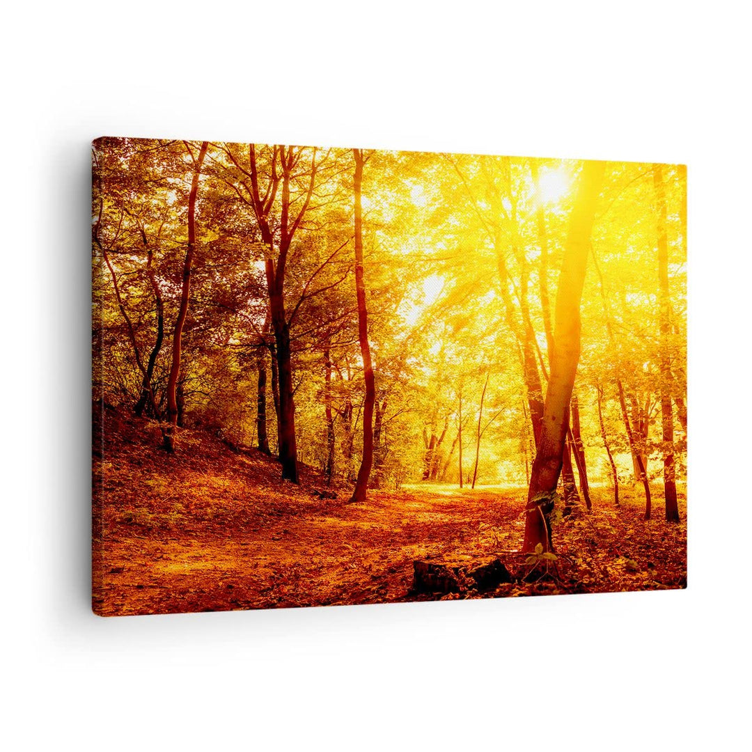 Bilder auf Leinwand Wald Baum Natur Leinwandbild mit Rahmen 70x50cm Wandbilder Dekoration Wohnzimmer