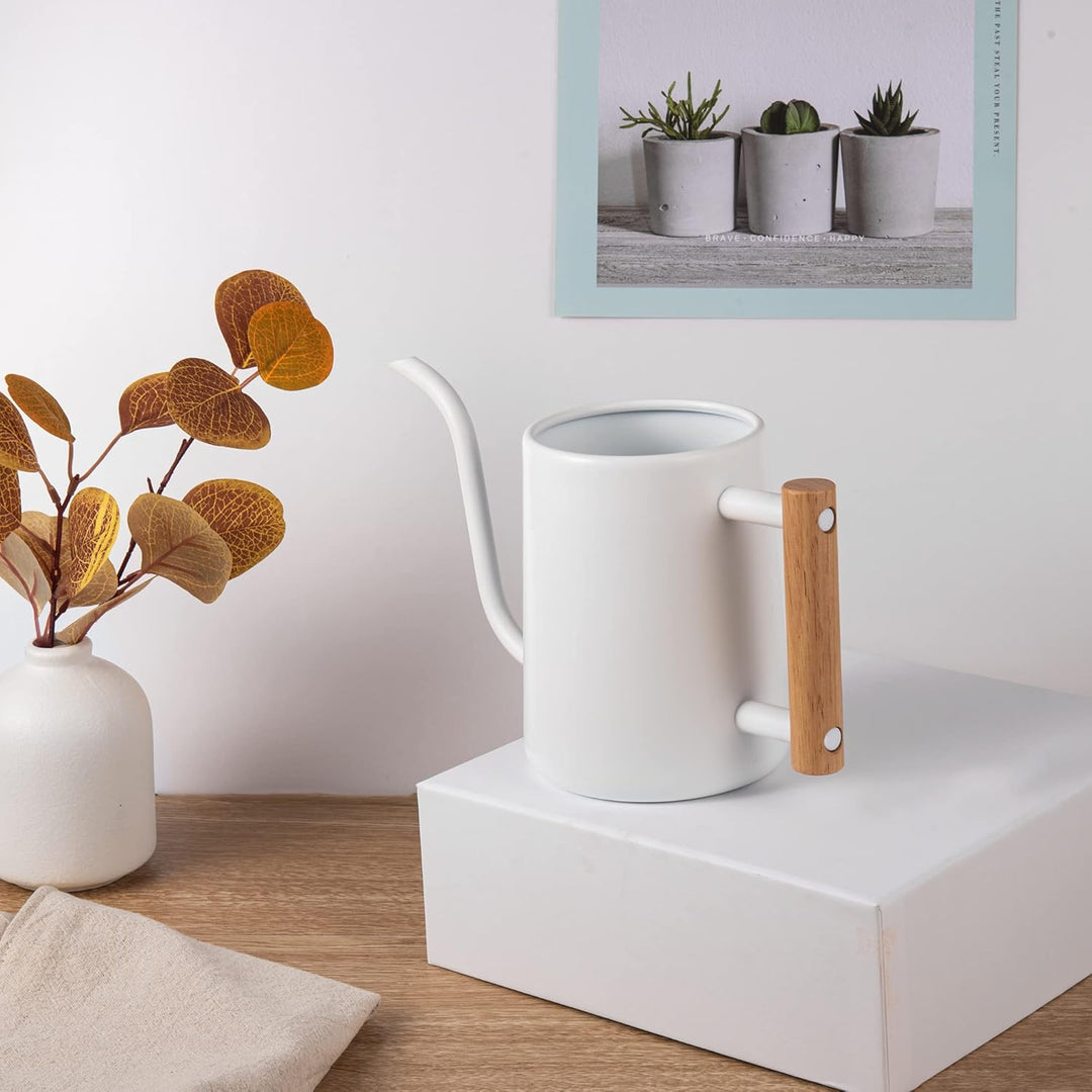 IMEEA 1L Indoor-Giesskanne Zimmerpflanzen ，Moderne Giesskannek kleinere Topfpflanzen Edelstahl-Giess