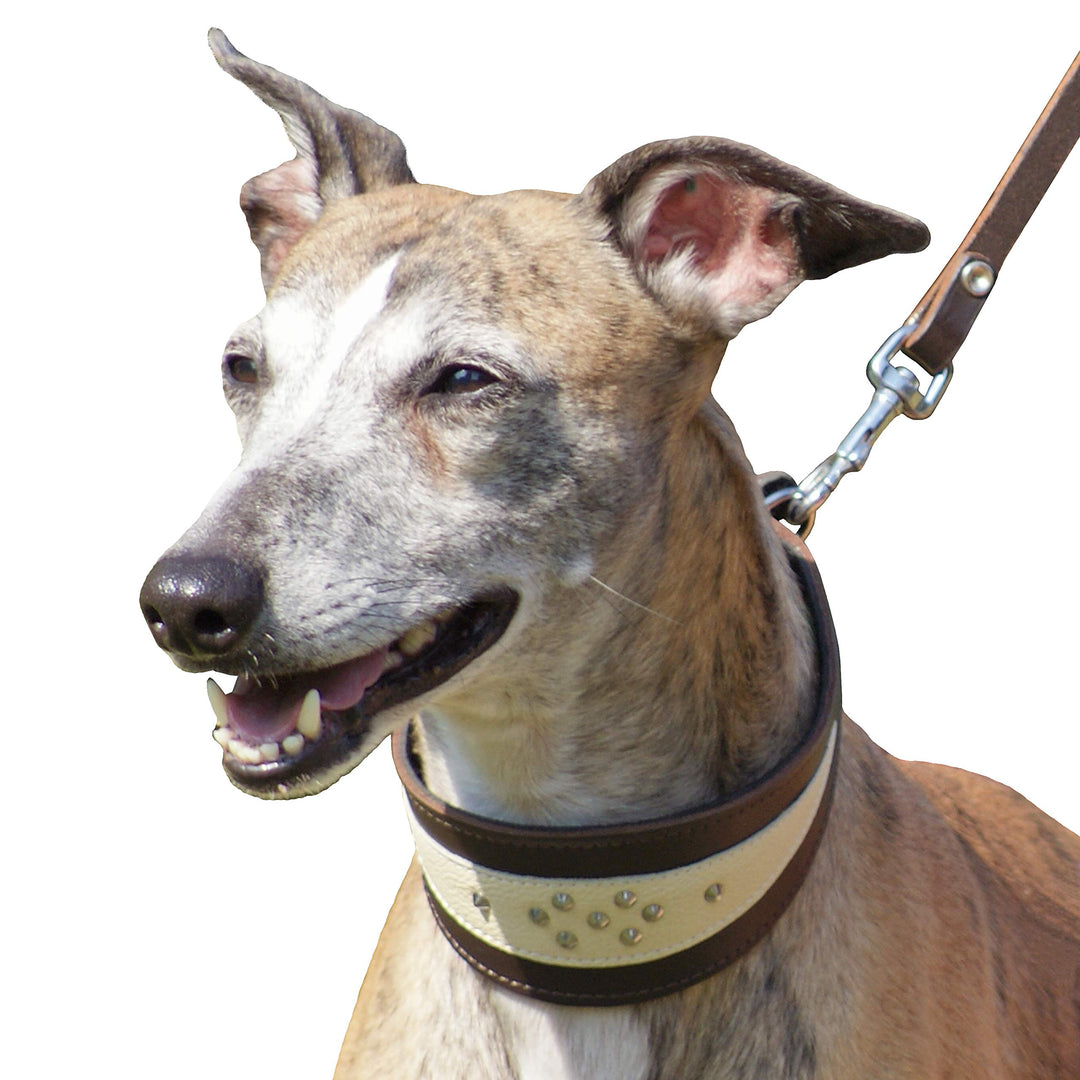 Dingo Weiches Lederhalsband für Windhund Eleganz Halsband Soft 12402 45 cm XL, 45 cm XL
