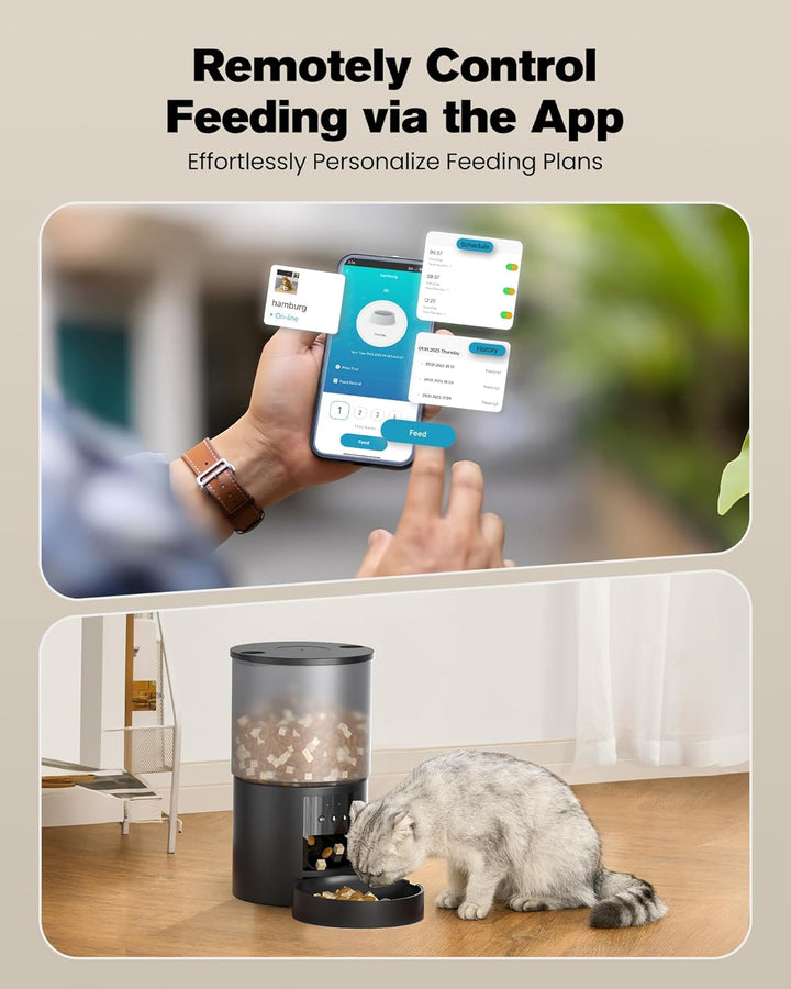 Futterautomat Katze Katzenfutter Automat WiFi: Futterspender Katze mit Massgeschneidert Zeitplan - A