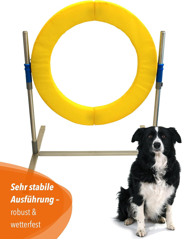 Safety Agility-Reifen – FCI-konform – mit Magnetverschluss &amp; Schaumstofffüllung – höhenverstellbar &amp;