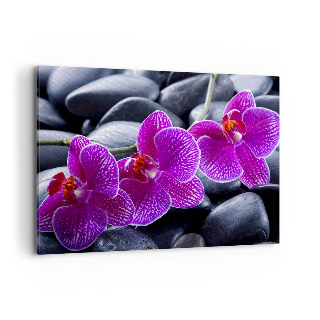 Bilder auf Leinwand 100x70cm Leinwandbild Blumen Steine Violett Aromatherapie Gross Wanddeko Bild Sc