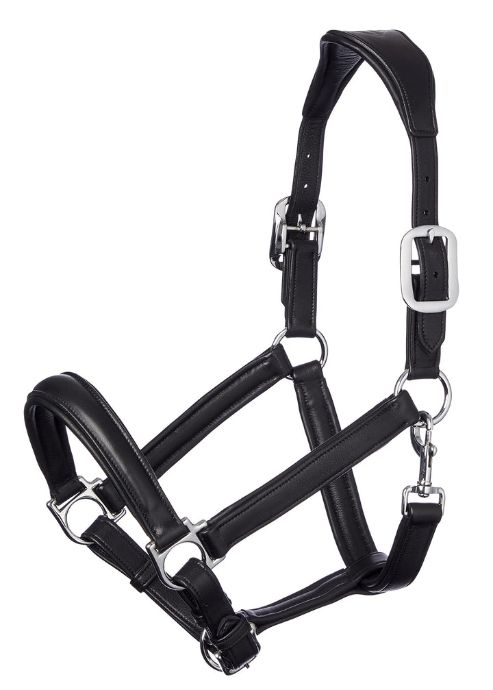 LeMieux Anatomic Leather Headcollar Anatomisches Lederhalfter