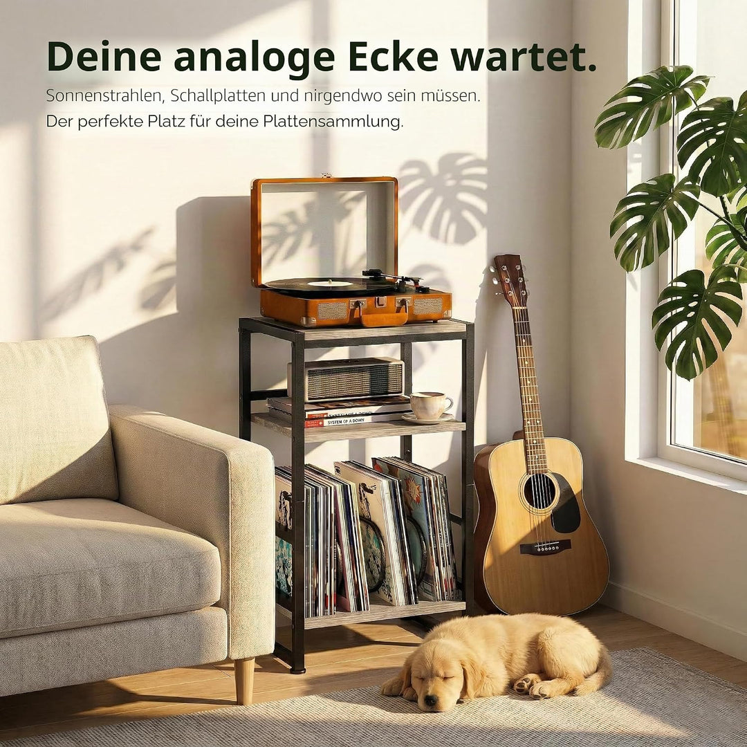 Plattenspieler-Ständer, 3 Etagen Beistelltisch,Plattenspielertisch Aufbewahrung von Schallplatten, b