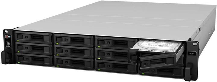 Synology Z661002 RX1217 12-Bay Expansion Unit