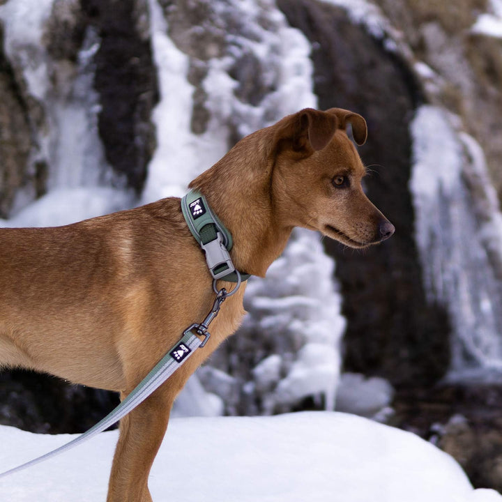 Hurtta Weekend Warrior ECO Hundehalsband, Hecke, 55,9–66 cm 22-26 in Hecke, 22-26 in Hecke