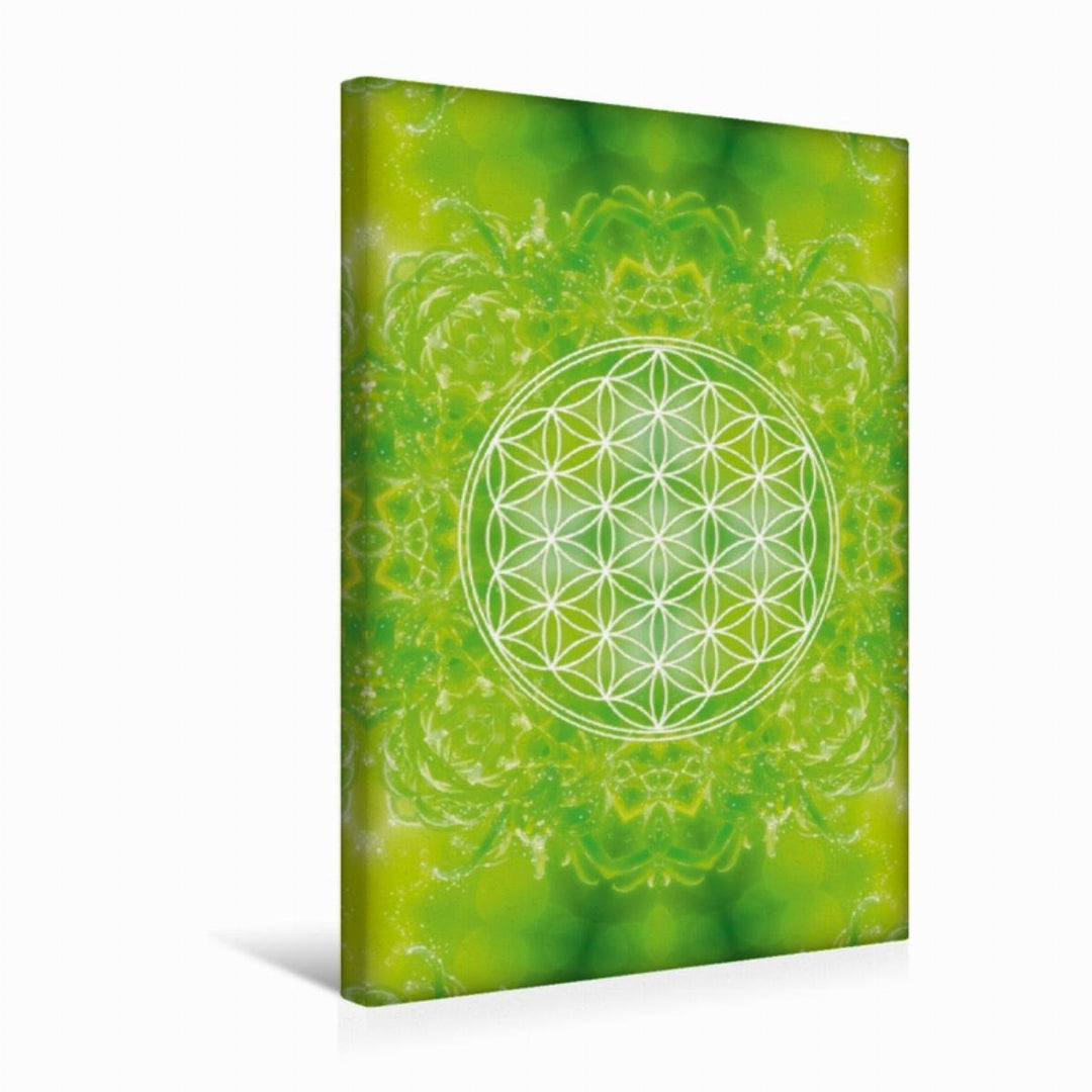 Premium Textil-Leinwand 30 x 45 cm Hoch-Format Blume des Lebens - Heilkraft Natur | Wandbild, HD-Bil