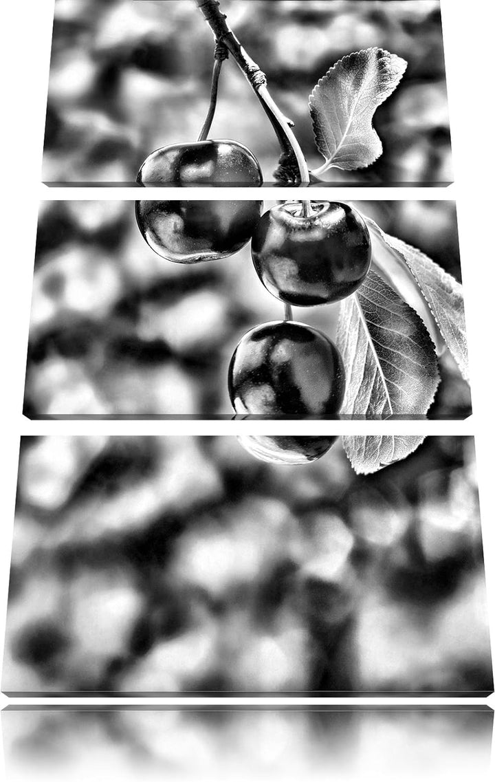 Pixxprint Kirsche als Leinwandbild/Grösse: 3 Teilig (120x80) cm/Wandbild/Kunstdruck/fertig bespannt