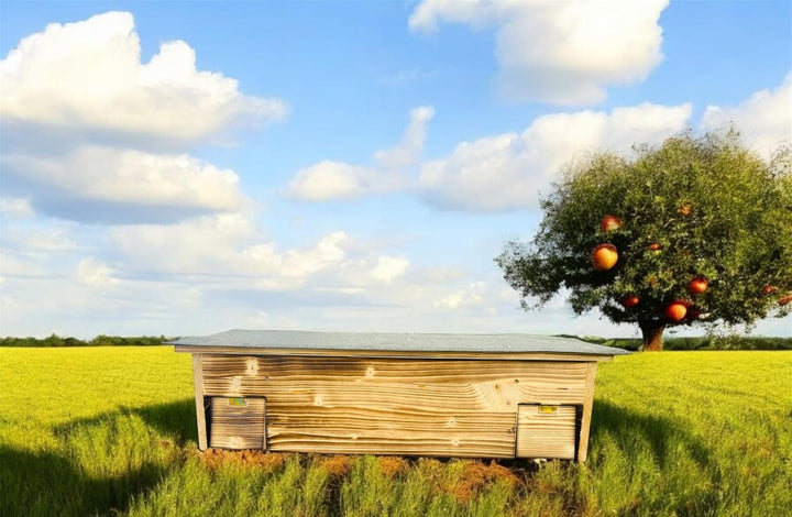 Igelhaus XL Igelschutz geflammt Dachpappe Isolierung Rattenklappen handgemacht Gratis Stroh 84x40x23