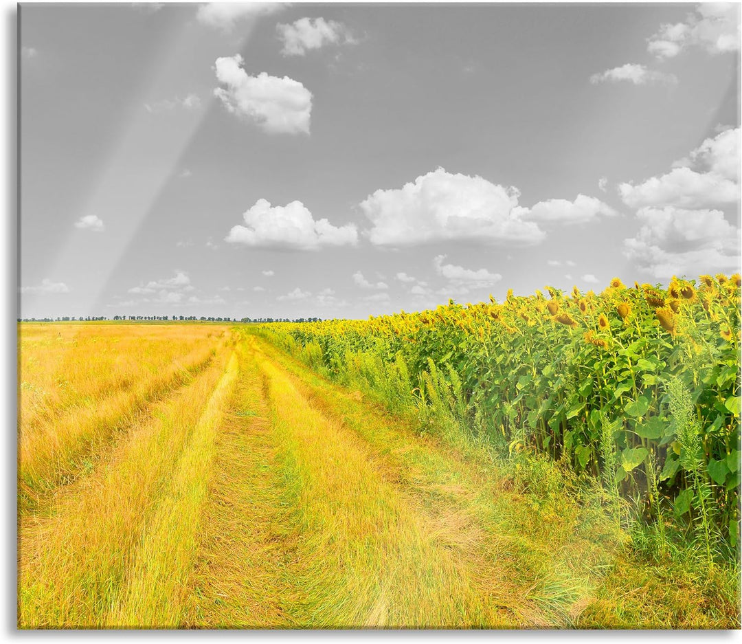 Feldweg Sonnenblumen Herdabdeckplatte & Spritzschutz aus Echtglas | Für Herd-Kochfelder | 60x52 cm