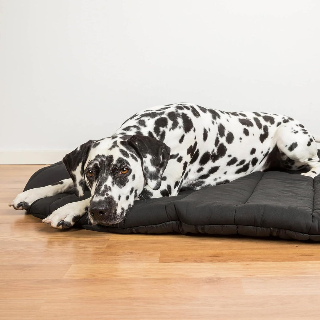 Back on Track Hundebett oval 55 x 60 cm schwarz