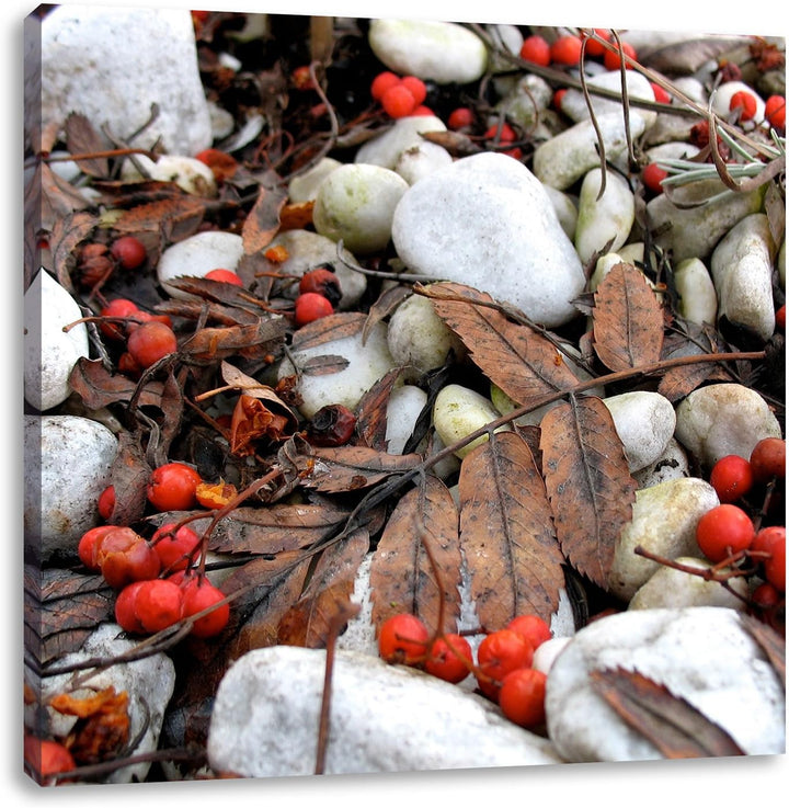 Pixxprint Herbst und Beeren als Leinwandbild Quadratisch| Grösse: 70x70 | Wandbild| Kunstdruck | fer
