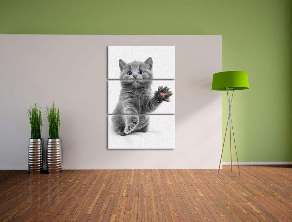 süsse kleine russisch Blau schwarz/weiss 3-Teiler Leinwandbild 120x80 Bild auf Leinwand, XXL riesige