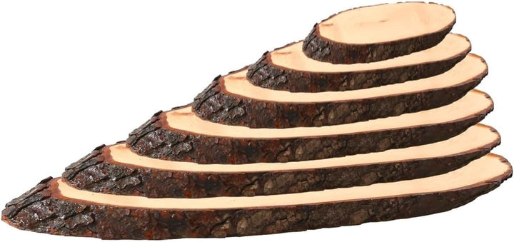 Rindenbrett lackiert oval - Rindenscheibe Baumscheibe Wurstbrett Käsebrett, Brettgrösse:ca. 100 x 33