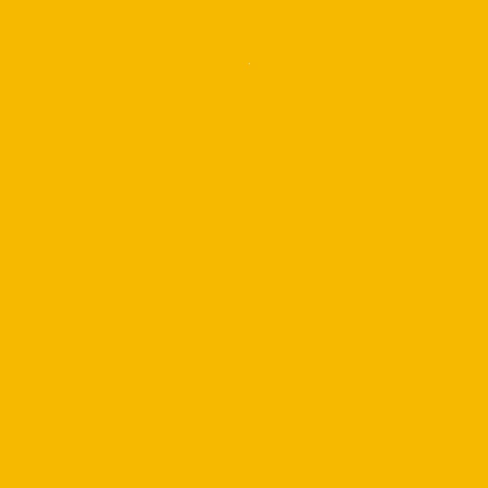 ADLER Ferro-Color RAL1021 Rapsgelb 2,5 l, 3in1 Rostfarbe, innen, aussen RAL1021 Rapsgelb 2.5L, RAL10