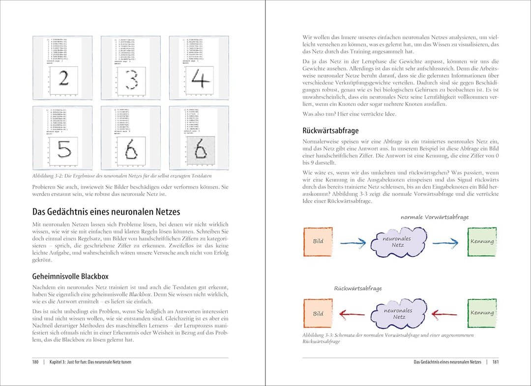 Neuronale Netze selbst programmieren: Ein verständlicher Einstieg mit Python (Animals), Paperback
