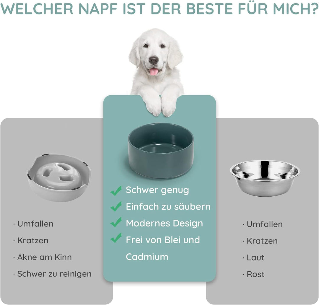 SPUNKYJUNKY Keramik Doppel Futternapf mit Bambus Ständer für Katzen und Hunde (850ml, Grün) Türkis D