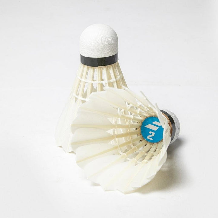 Babolat Feather Shuttle 2 Lenkrad 78 Weiss (Weiss), 78 Weiss (Weiss)