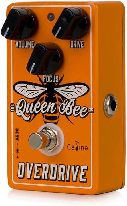 Caline CP-503 Queen Bee Overdrive - Overdrive Pedale