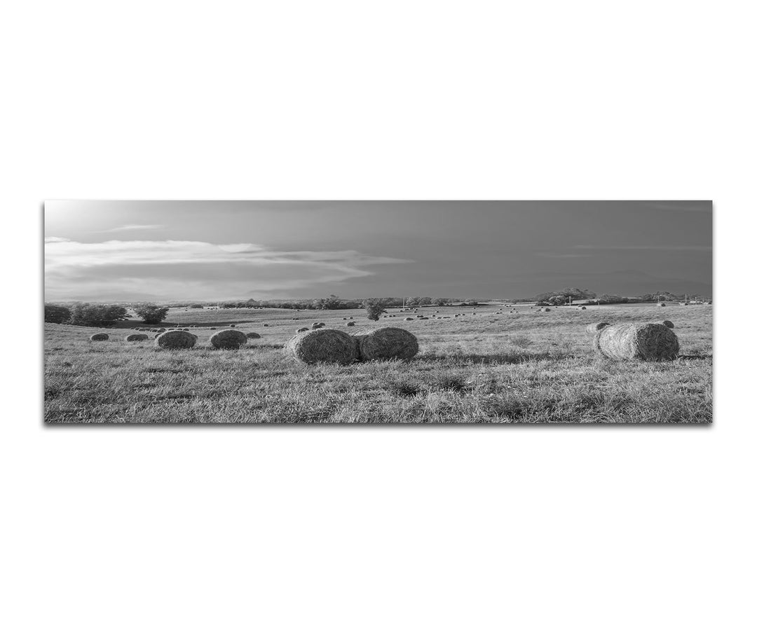 Paul Sinus Art Leinwandfoto als Panorama SCHWARZ/Weiss 120x40cm Toskana Feld Strohballen Herbst Aben