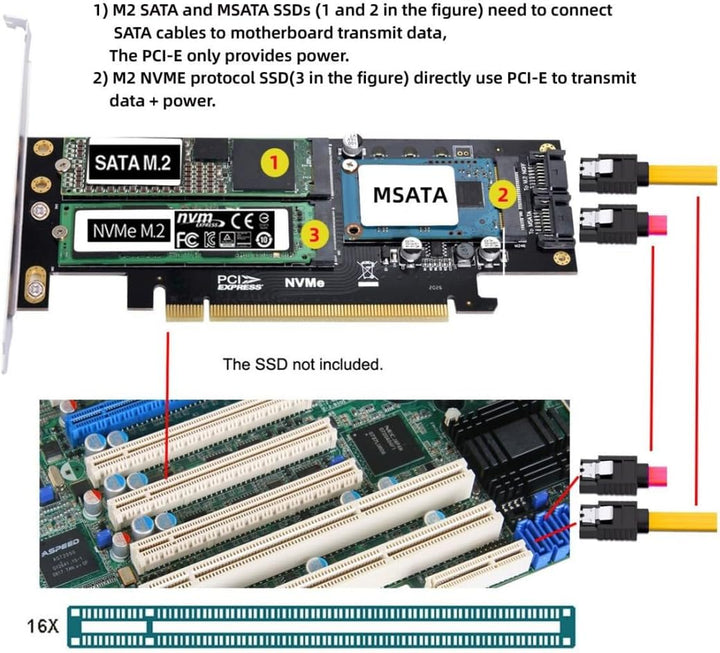 chenyang CY Dual SATA & PCI Express PCI-E 3.0 zu NGFF NVME M.2 MSATA M-Schlüssel B/M-Schlüssel SSD K