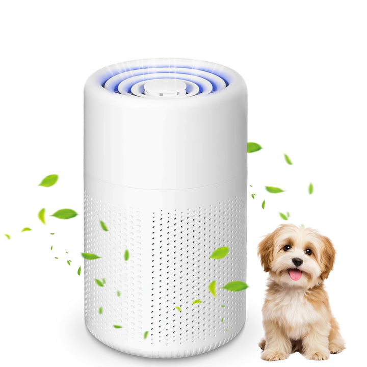 Luftreiniger HEPA Filter für Allergiker, Luftreiniger Allergiker mit Aromatherapie, Portable HEPA Lu
