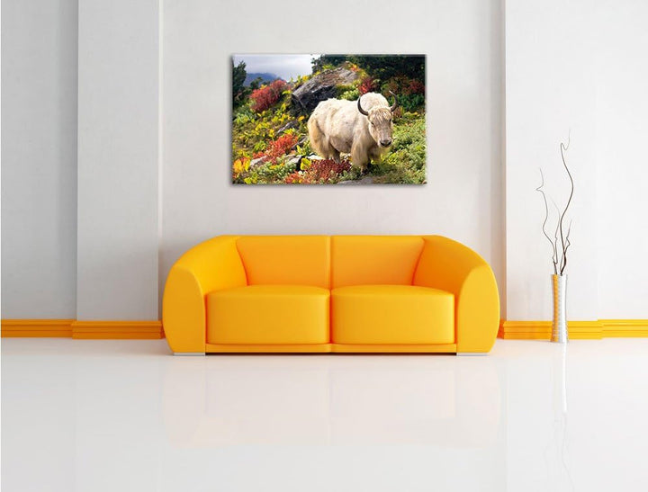 Schönes Yak Himalaya, Format: 100x70 auf Leinwand, XXL riesige Bilder fertig gerahmt mit Keilrahmen,