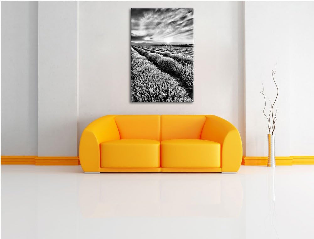 Pixxprint Traumhafte Lavendel Provence / 100x70cm Leinwandbild bespannt auf Holzrahmen/Wandbild Kuns