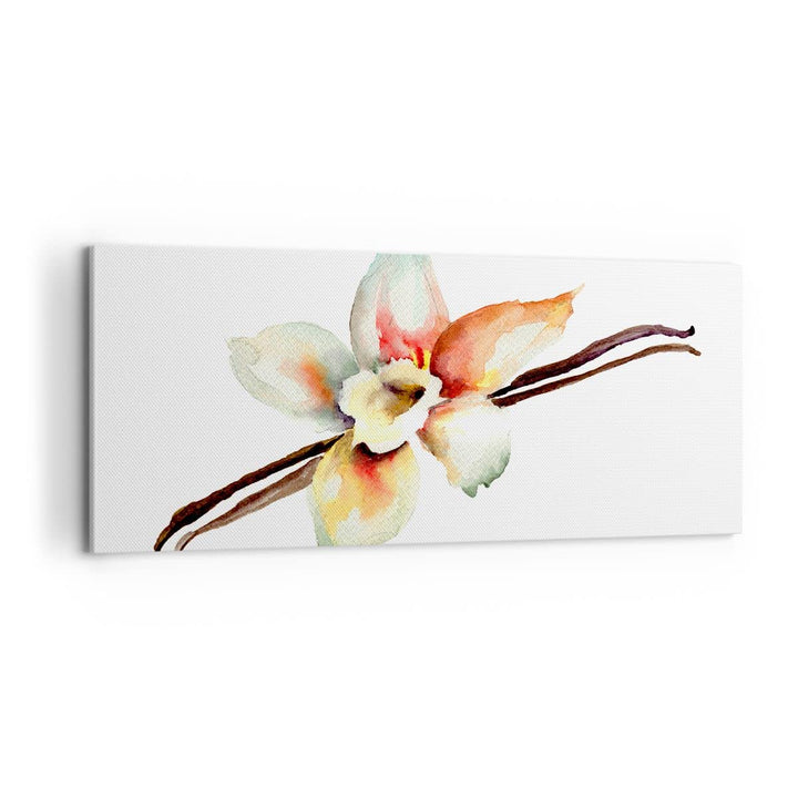 Panorama Bilder auf Leinwand 100x40cm Leinwandbild Vanille Gewürz Blume Pflanze Gross Wanddeko Bild