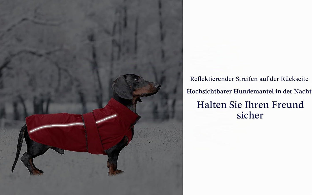 MOREZI Dachshund Regenmantel, wasserdichte Aussenschicht, Fleecefutter, reflektierende Besätze, Vers