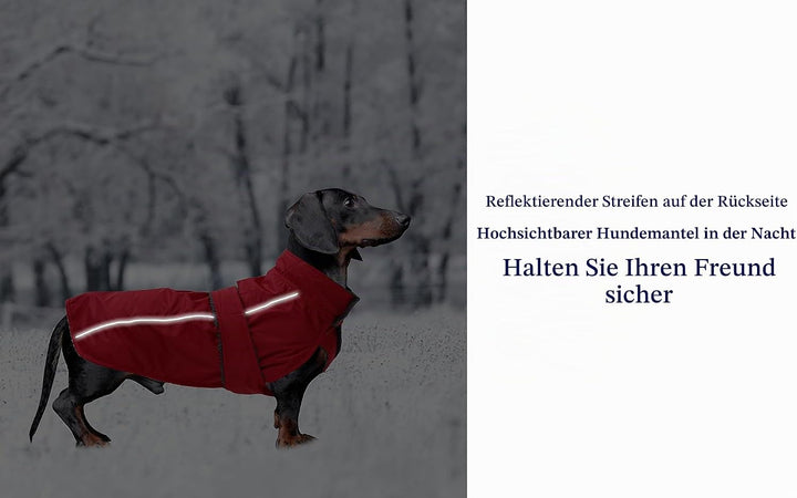 Morezi Dachshund Regenmantel, wasserdichte Aussenschicht, Fleecefutter, reflektierende Besätze, Vers