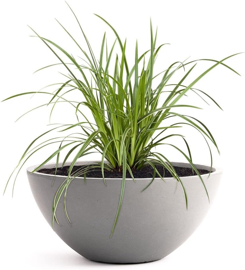 Pflanzwerk® Pflanzkübel Pflanzschale Bowl Ø 28cm Grau *Frostbeständige Blumenschale* *Premiumqualitä