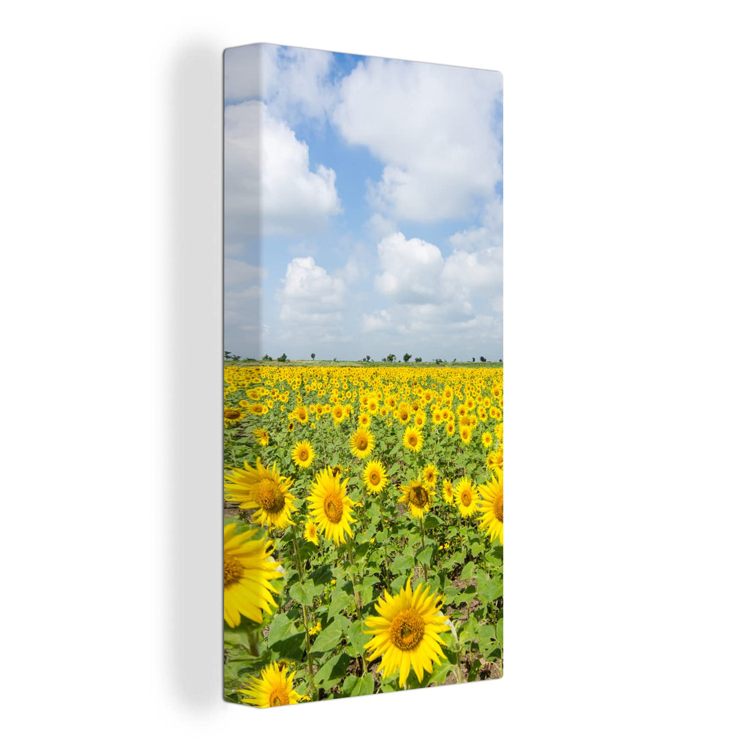 MuchoWow Leinwand Bilder, Einzigartige Wanddeko mit Rahmen, Sonnenblumen - Blumen - Wolken - Natur -