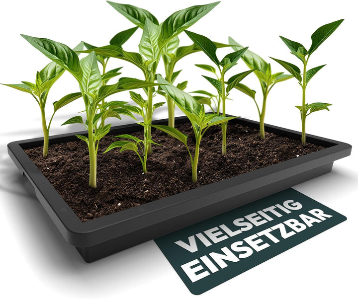 UDOPEA Profi Kunststoff Wanne flach (60 x 40 x 6,5 cm) - Pflanzschale, Wasserwanne ohne Bodenlöcher