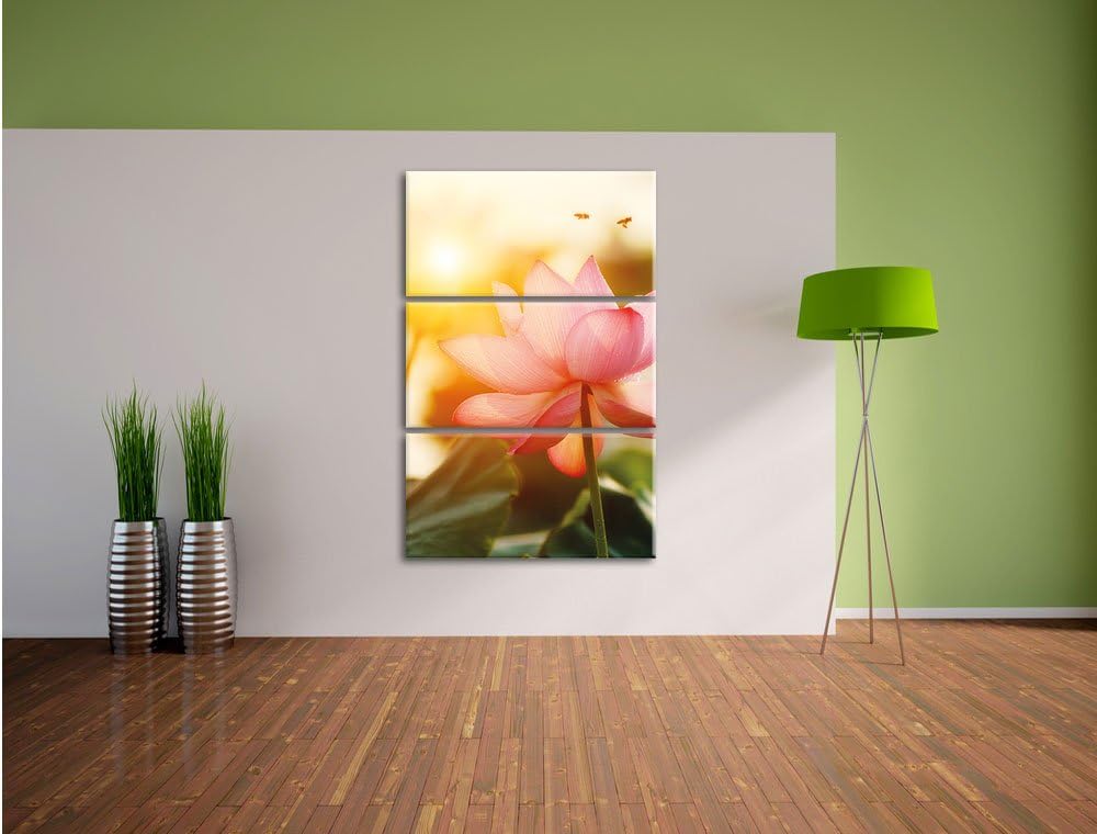 Pixxprint Lotus im Abendlicht als Leinwandbild | Grösse: 3 Teilig (120x80) | Wandbild| Kunstdruck |