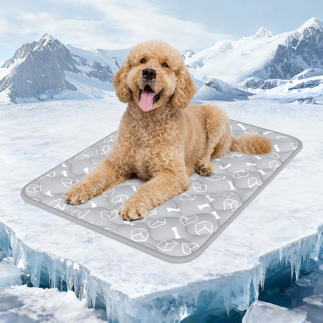 Rywell Kühlmatte für Hunde 90x70 cm, Plus Version, Selbstkühlend mit Arc-Chill-Gewebe, Verdickt, Far