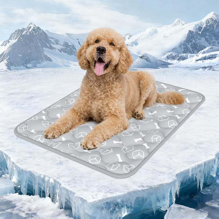 Rywell Kühlmatte für Hunde 90x70 cm, Plus Version, Selbstkühlend mit Arc-Chill-Gewebe, Verdickt, Far
