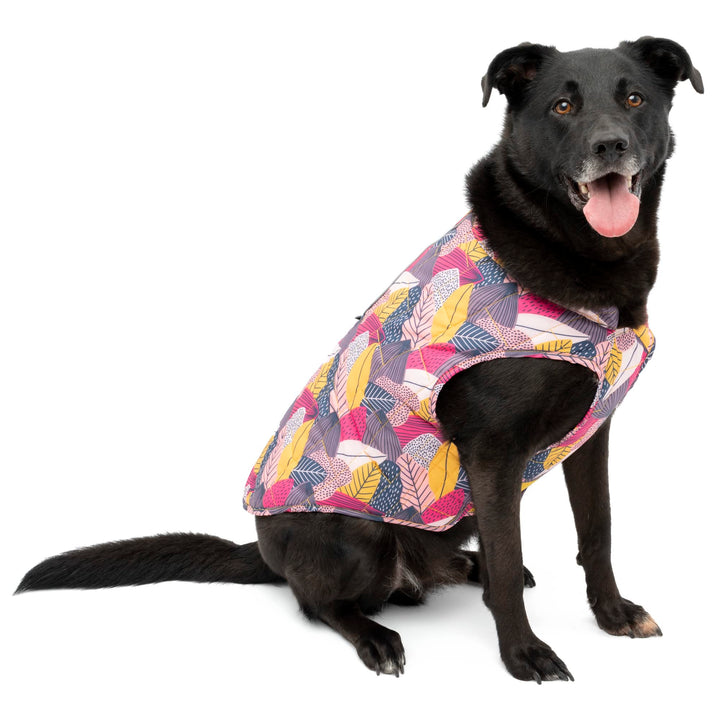Kurgo Loft Hundejacke Wendbarer Wintermantel für Hunde reflektierend Tragen mit Geschirr wasserabwei