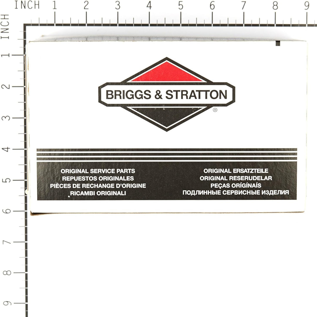 Briggs & Stratton 498298 Vergaser