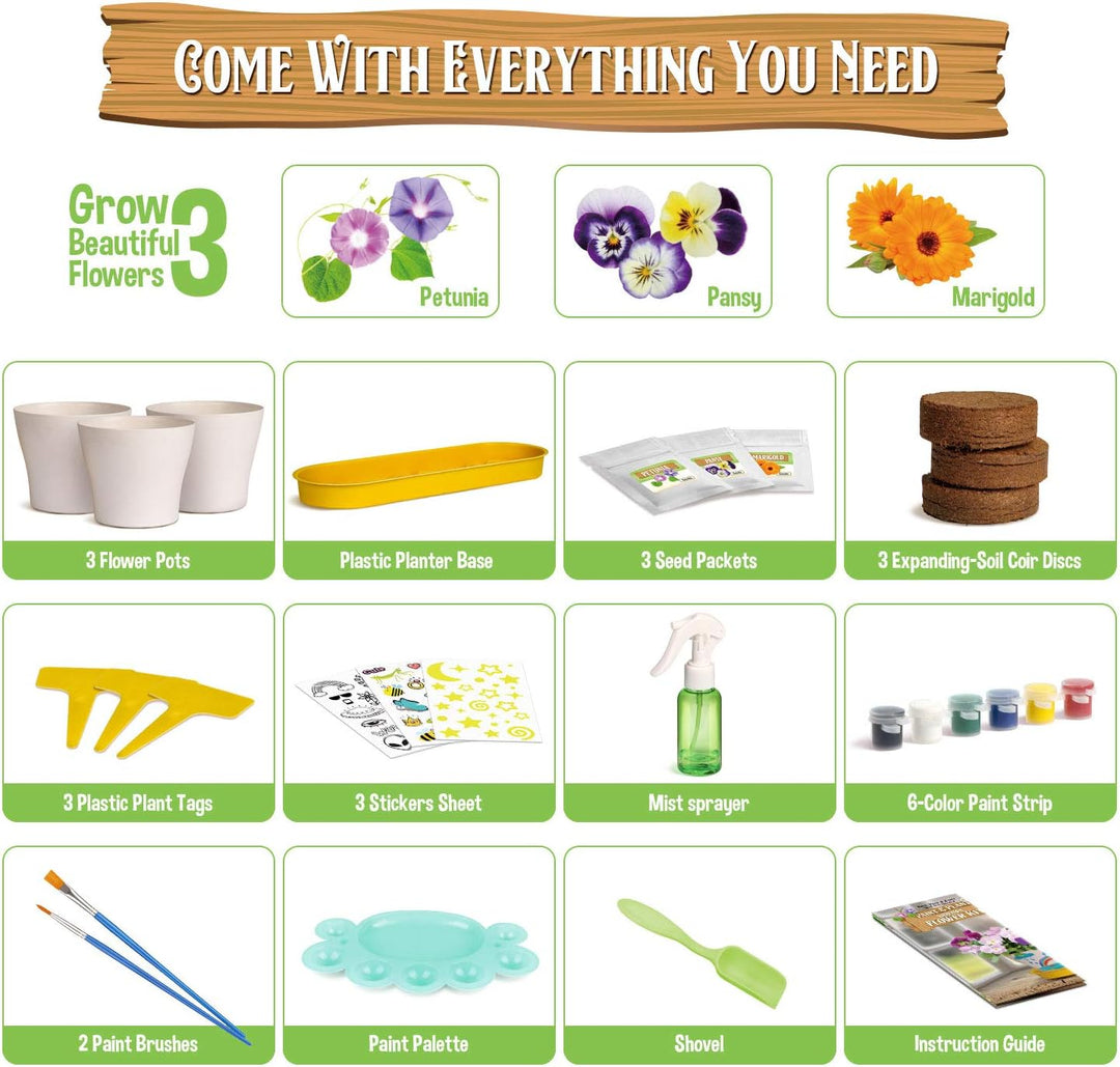 Malen Pflanzen Kinder, Blumen Bonsai Pflanzen Züchten, Gartenset für Mädchen und Jungen, Set Experim
