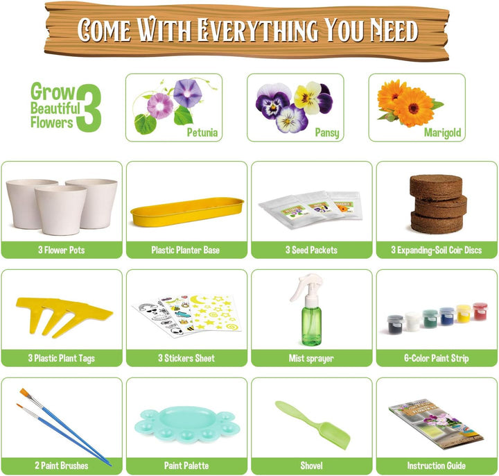 Malen Pflanzen Kinder, Blumen Bonsai Pflanzen Züchten, Gartenset für Mädchen und Jungen, Set Experim