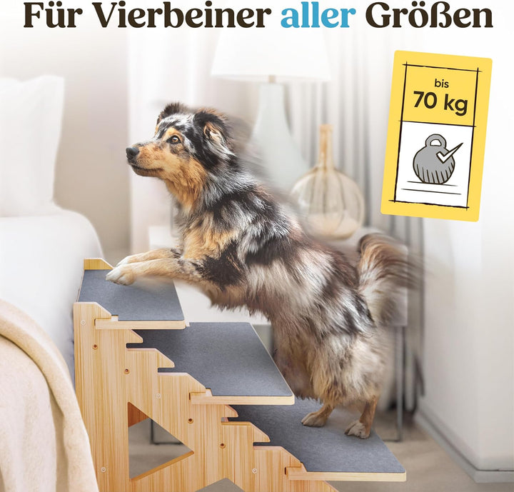 AMAZINGs Haustiertreppe für kleine, mittlere und schwere Hunde, Junge und alte Katzen. Flexibel eins