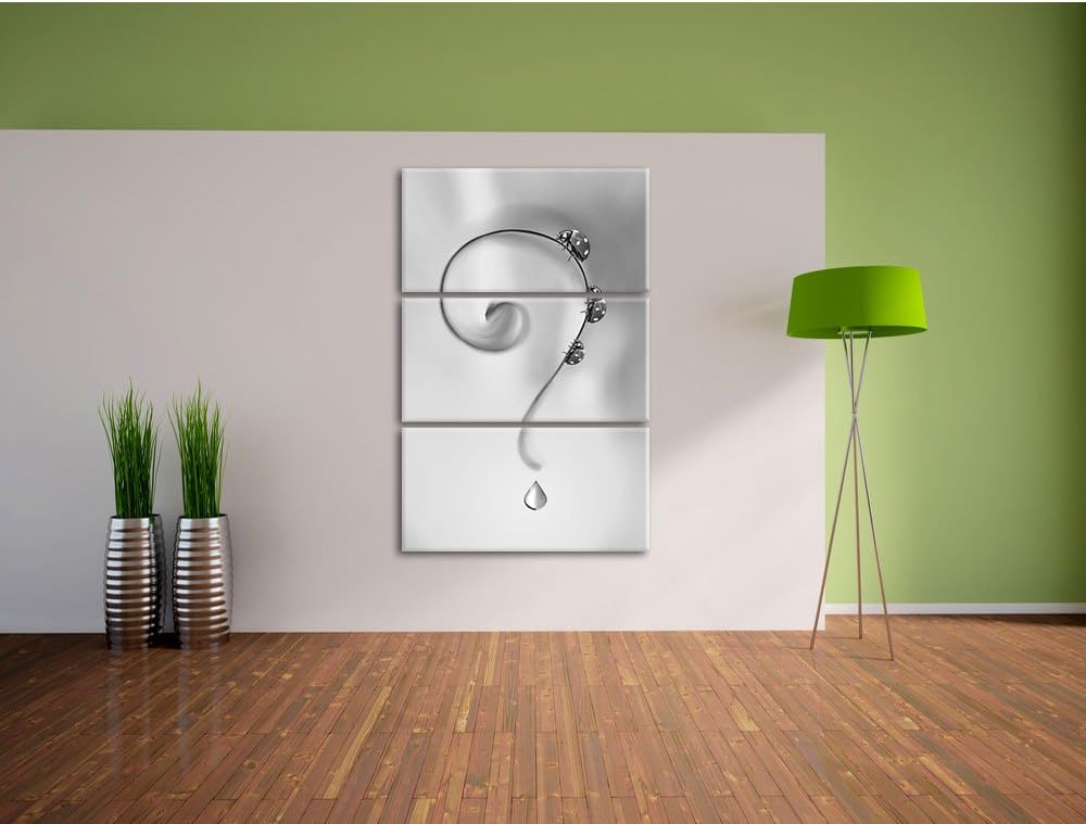 Pixxprint Marienkäfer Folgen dem Fragezeichen Kunst B&W 3-Teiler Leinwandbild 120x80 Bild auf Leinwa