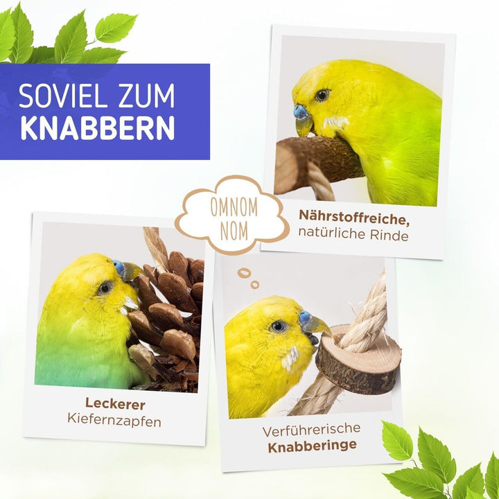 Vogelgaleria Luxus Vogelspielplatz aus Natur Holz mit Abnehmbarer Futterschale | Ideales Spielzeug b