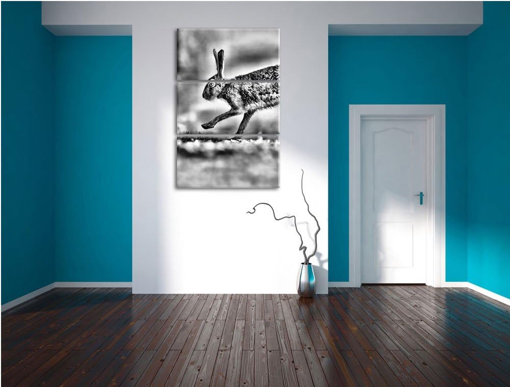 Pixxprint Hüpfender Hase als Leinwandbild/Grösse: 3 Teilig (120x80) cm/Wandbild/Kunstdruck/fertig be